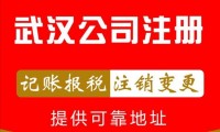 东湖办理公司注册代办公司 东湖办理公司注册代办公司电话